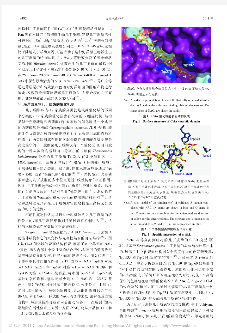 海洋微生物几丁质酶的研究进展