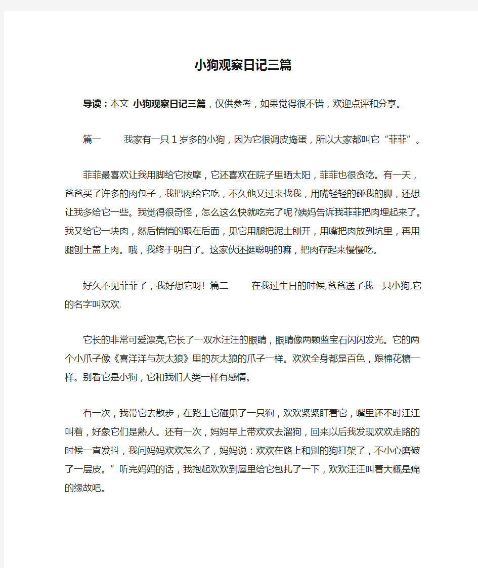 小狗观察日记三篇