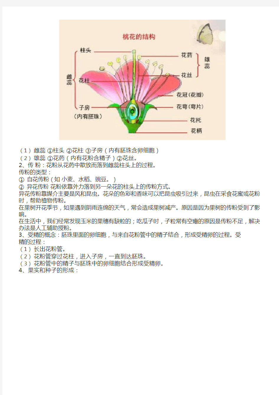 人教版生物七年级上册第二章《被子植物的一生》知识点