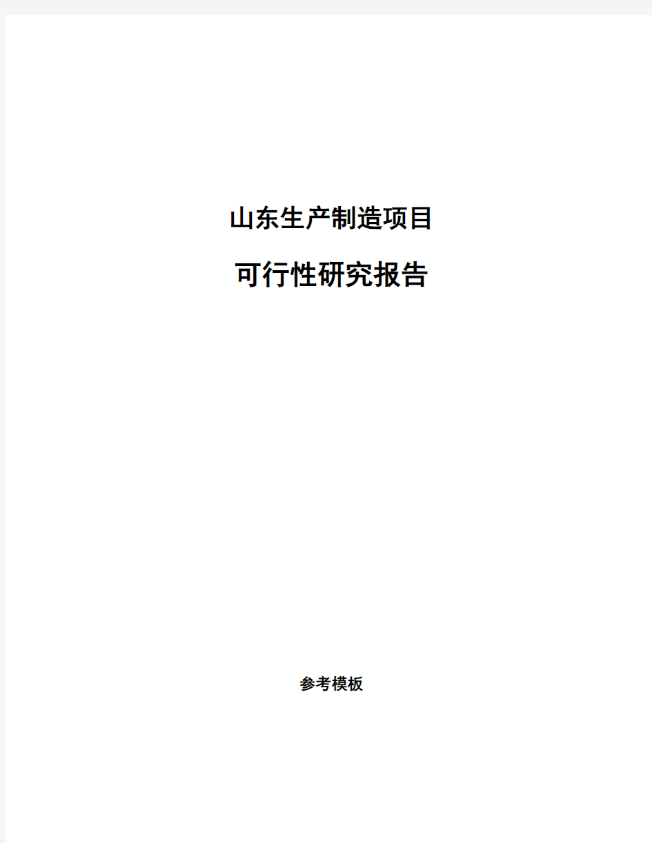 山东生产制造项目可行性研究报告