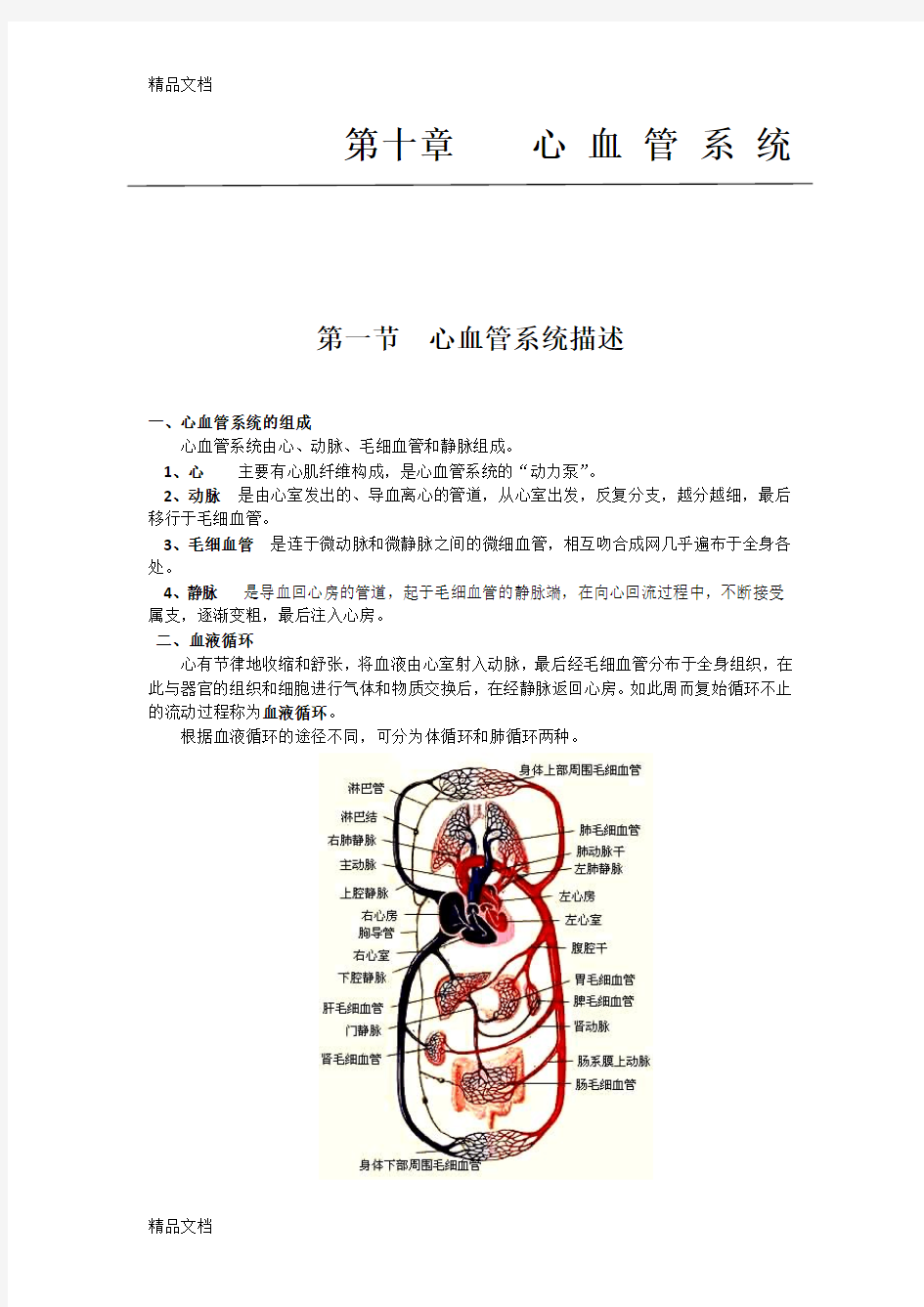 (整理)医学笔记：人体解剖学之心血管系统一.