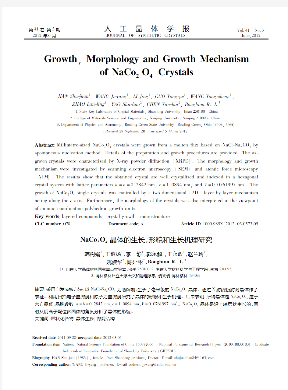 NaCo2O4晶体的生长形貌和生长机理英文