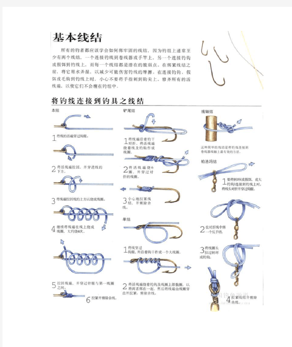 钓鱼绑钩打结的多种方法(组图)