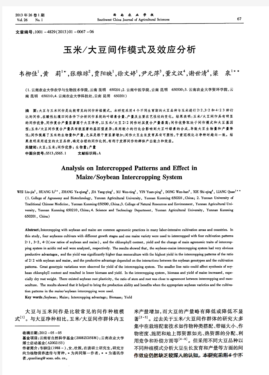 玉米／大豆间作模式及效应分析