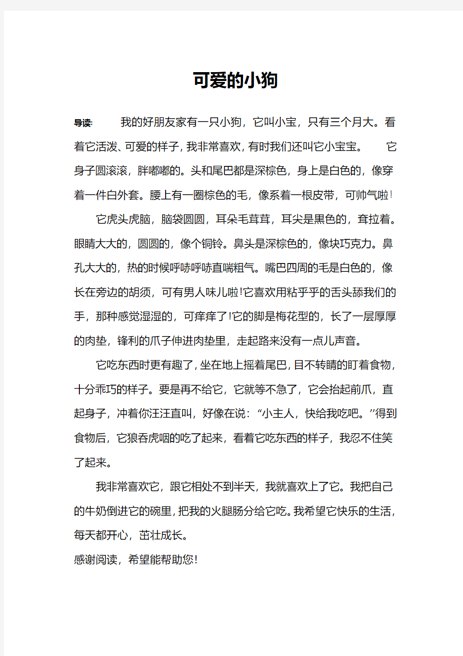 可爱的小狗