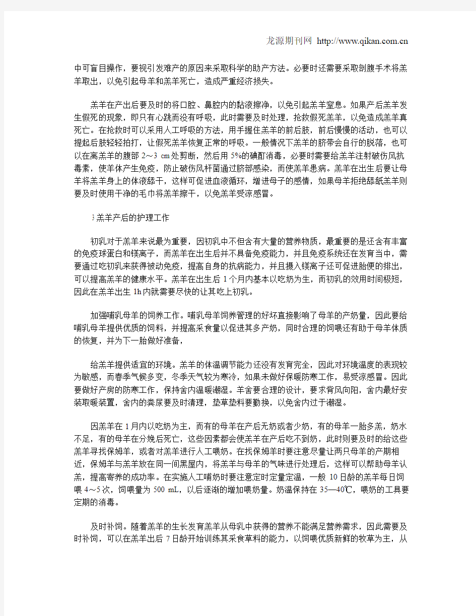 羔羊的接产和护理工作要点