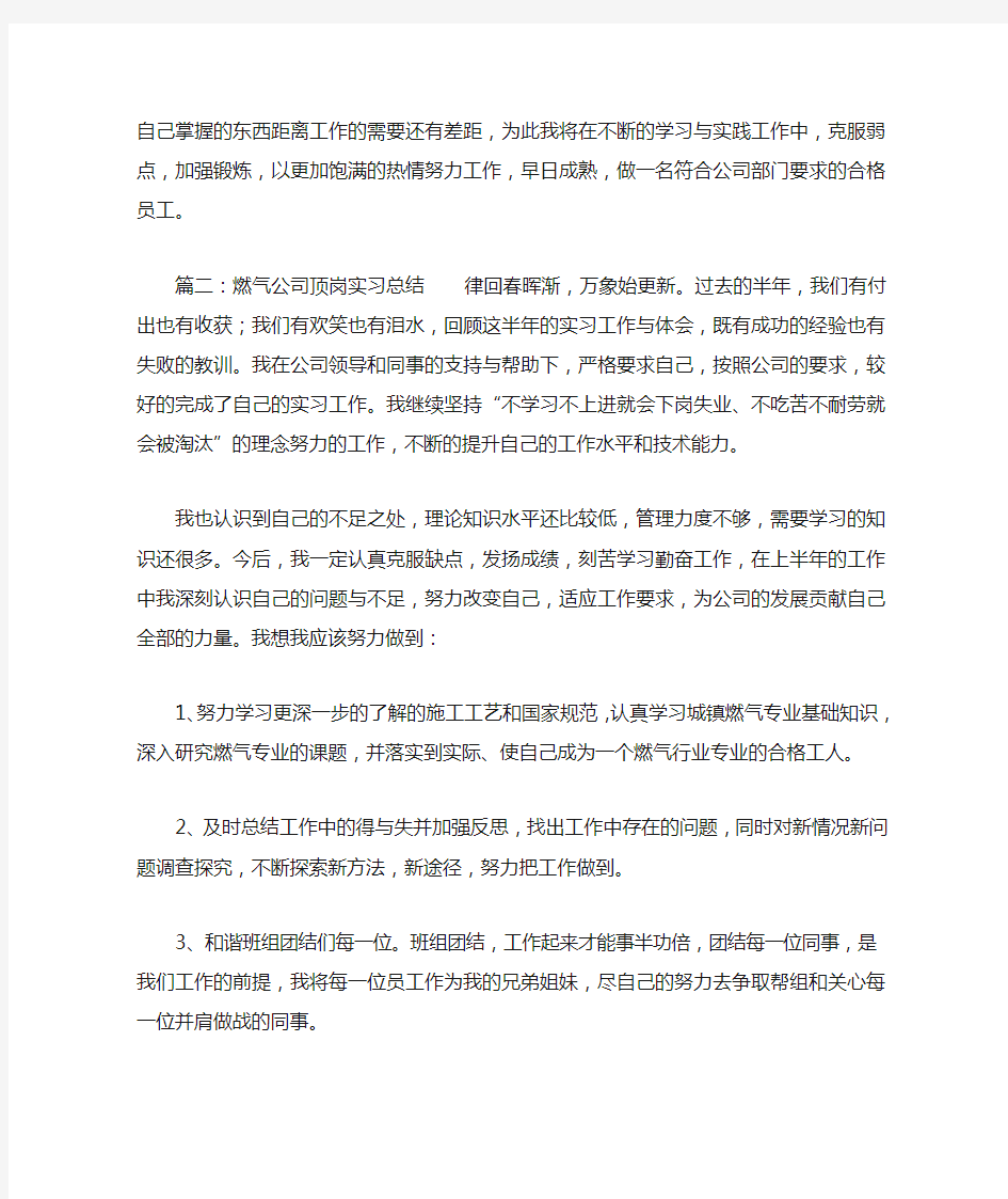 燃气公司顶岗实习总结