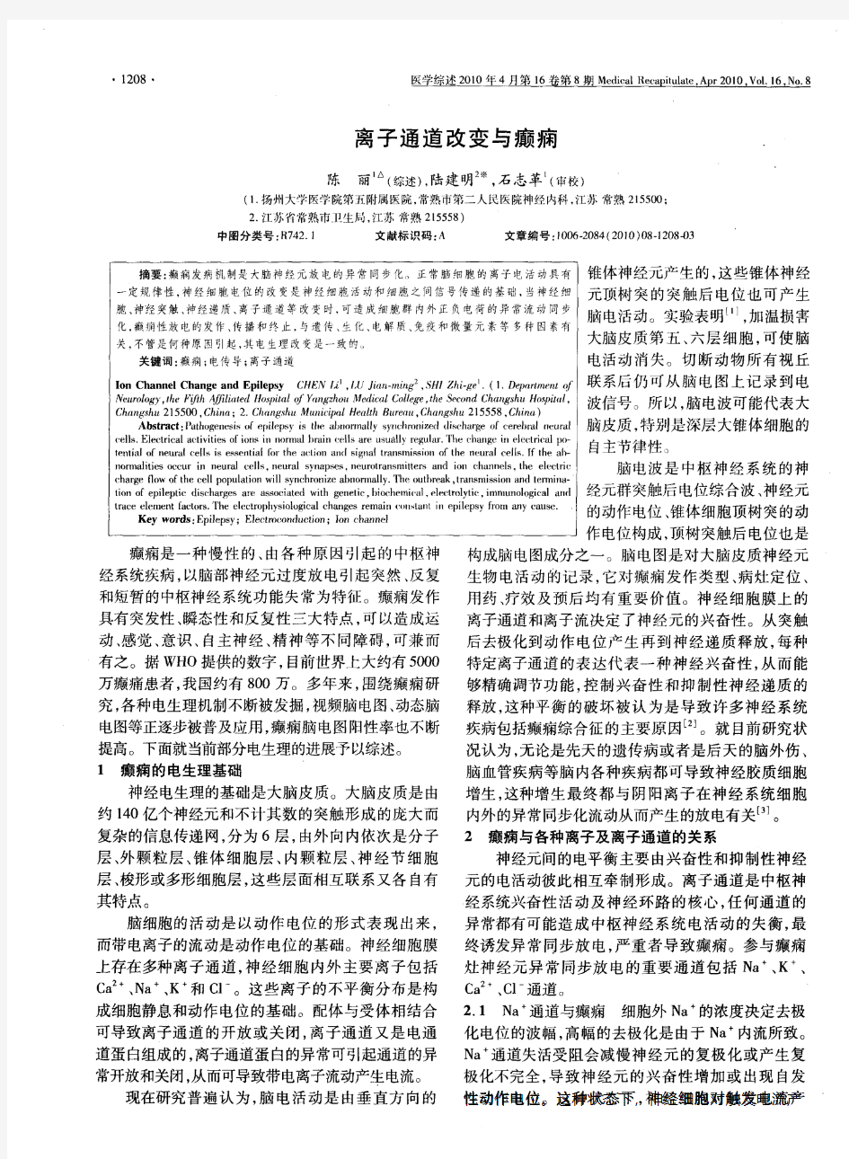 离子通道改变与癫痫