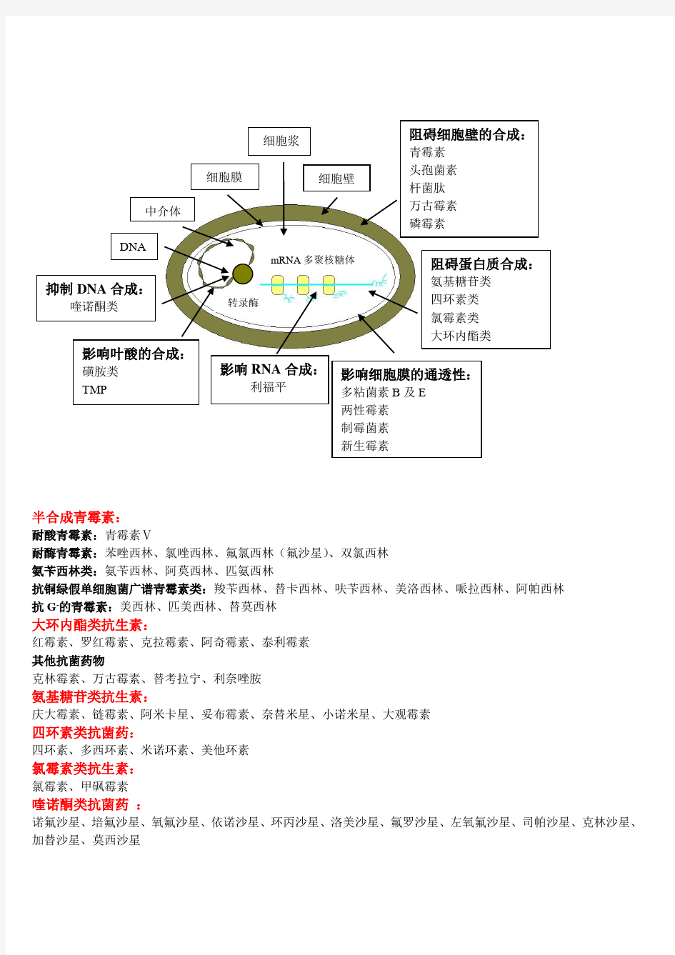 抗菌药物作用原理