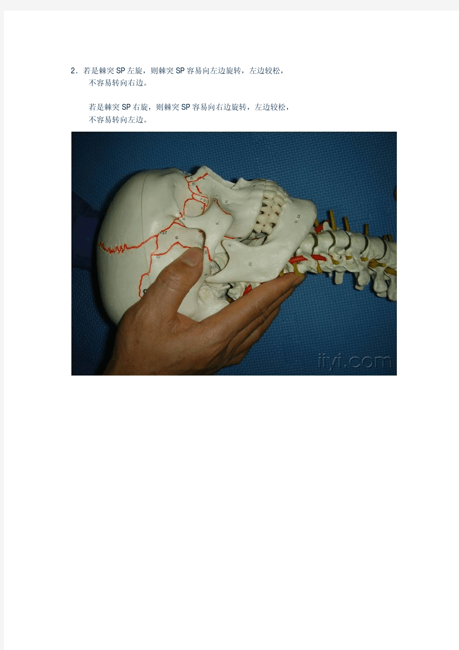 脊椎静态触诊：颈椎、胸椎和腰椎