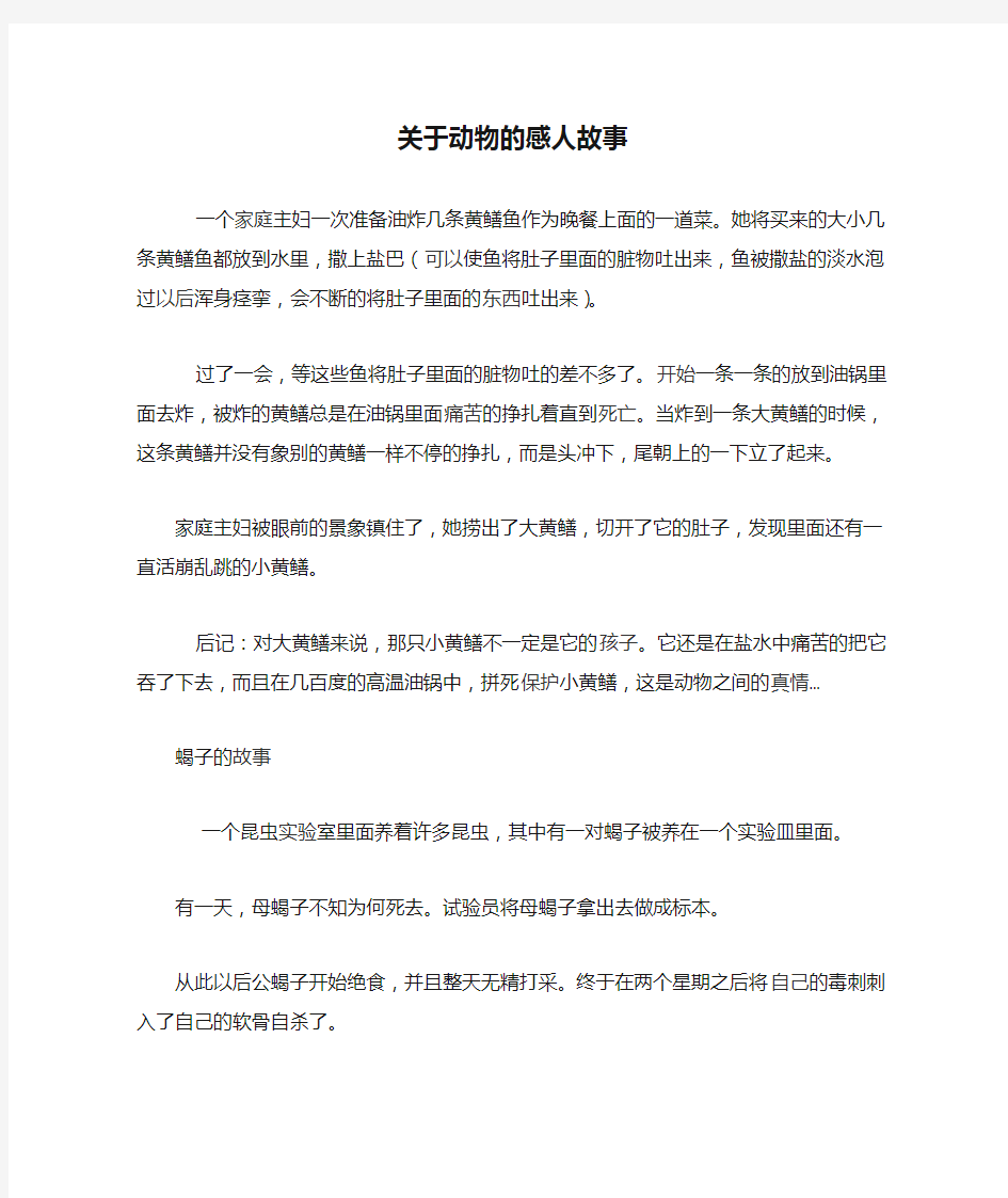 关于动物的感人故事