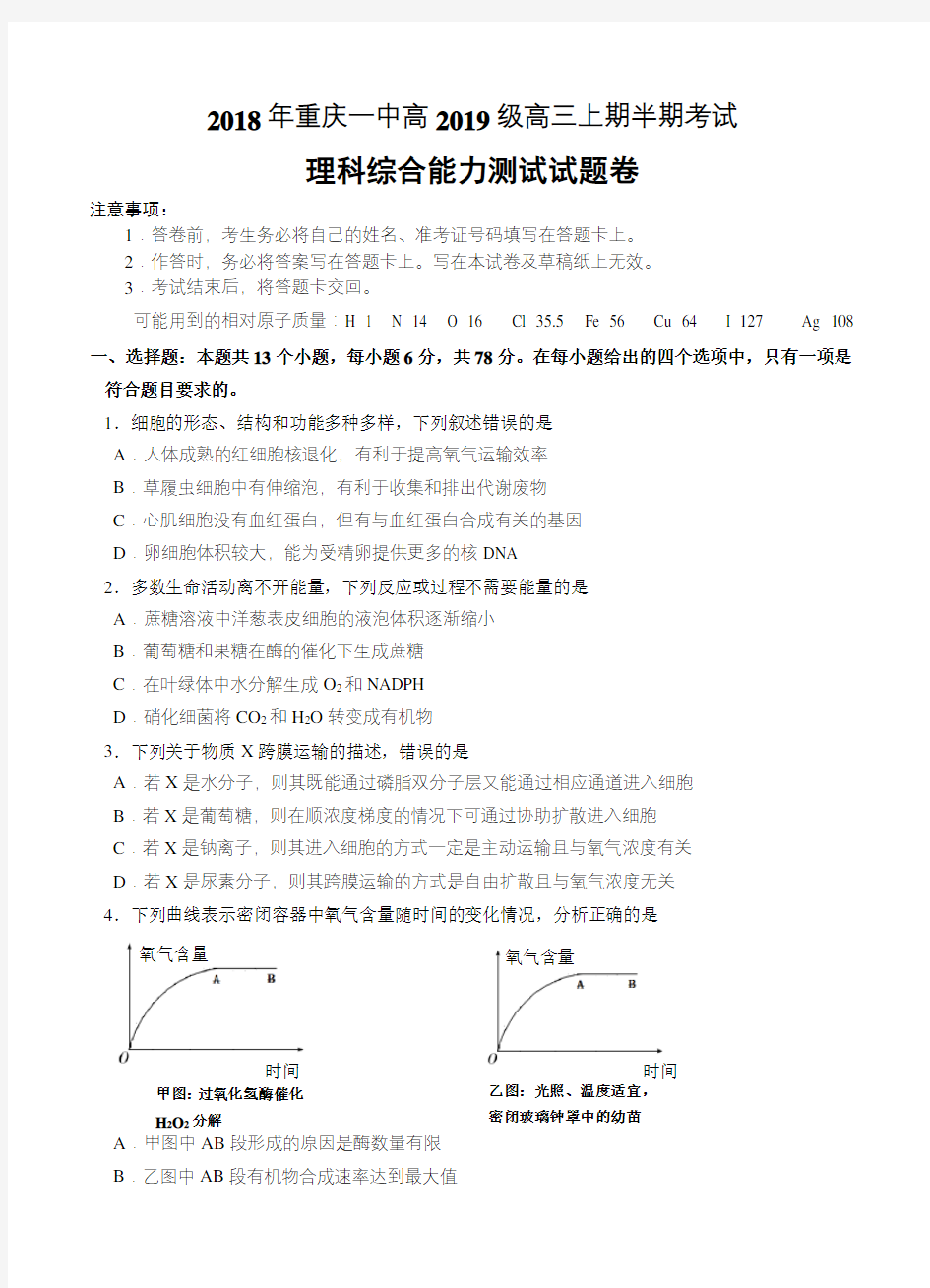  重庆市第一中学2019届高三上学期期中考试理科综合试卷 含答案