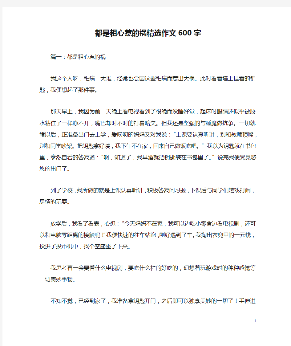 都是粗心惹的祸精选作文600字