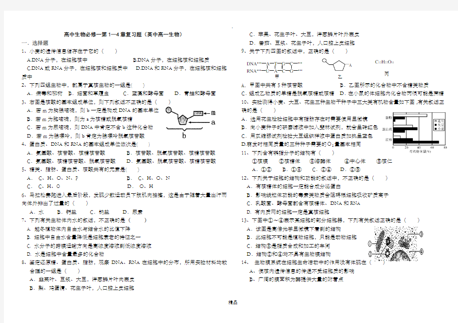 高中生物必修1第一至第四章测试题打印版