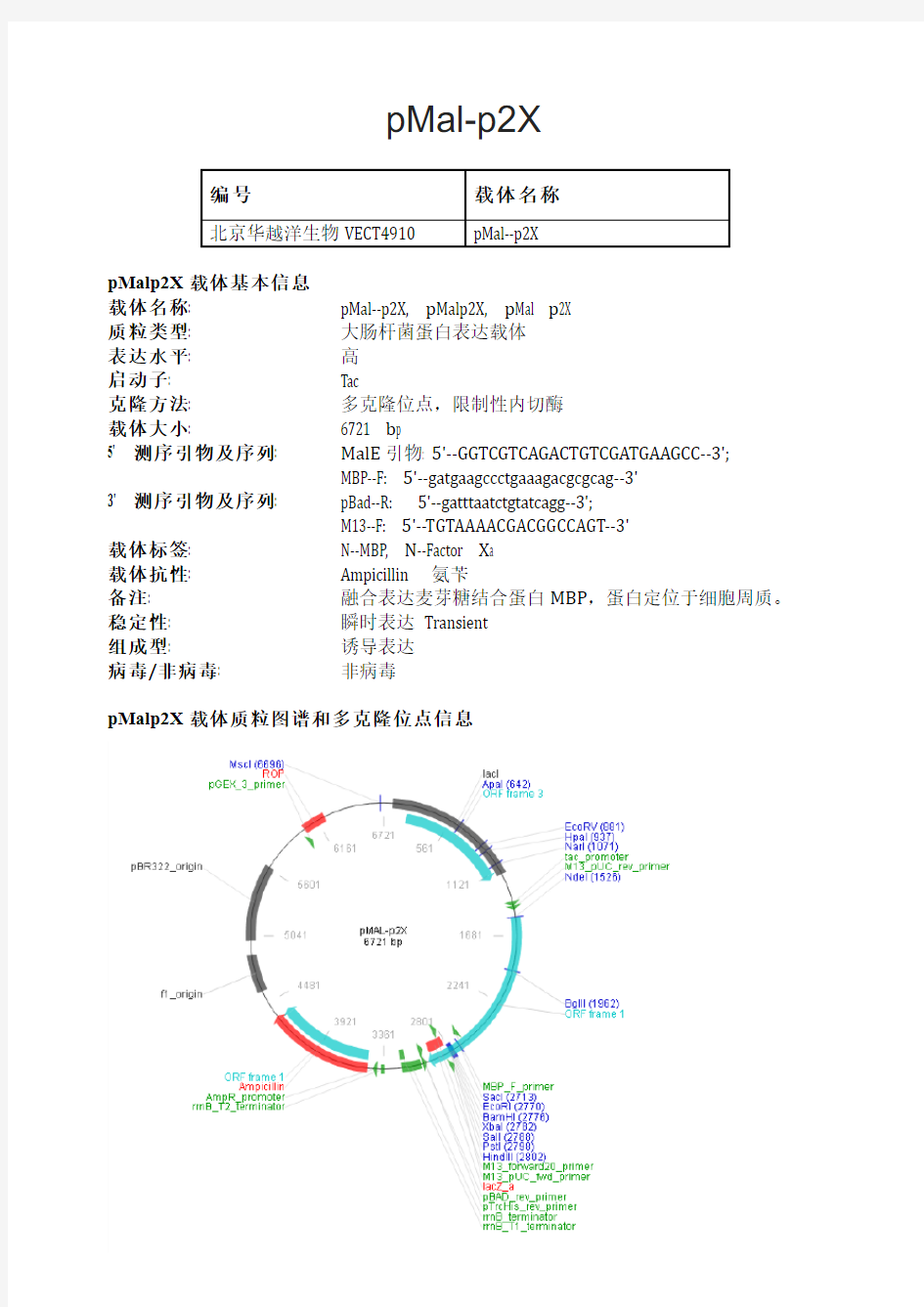 pMal-p2X大肠杆菌表达载体说明