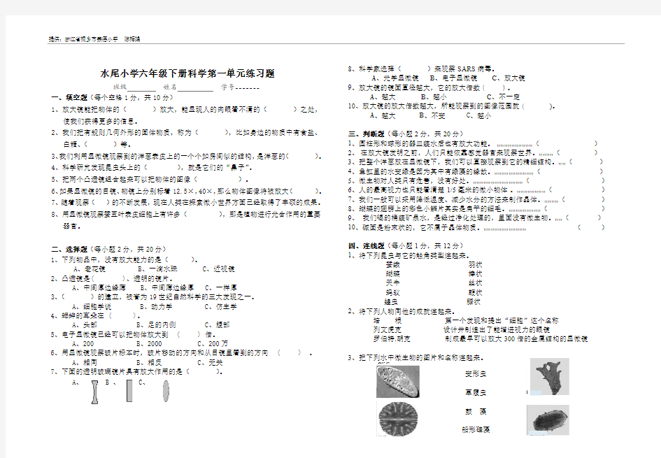 教科版小学科学六年级下册第一单元练习题