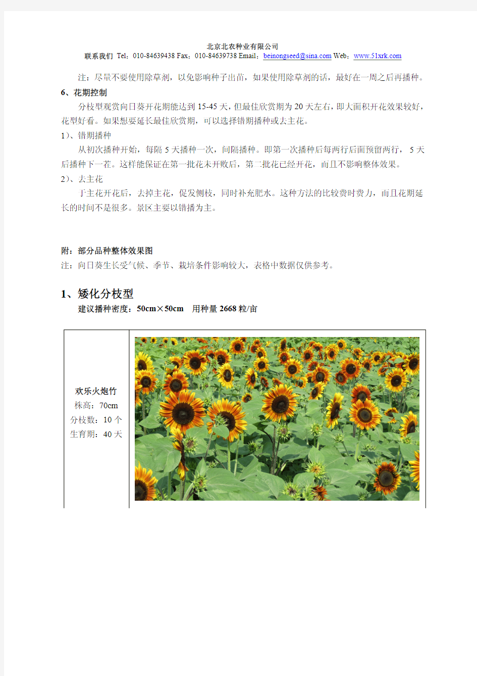 景区观赏向日葵栽培技术