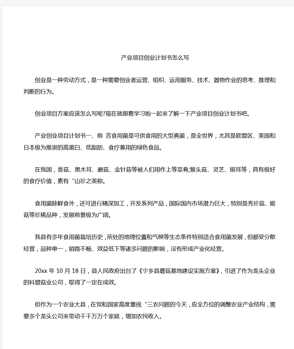 产业项目创业计划书怎么写