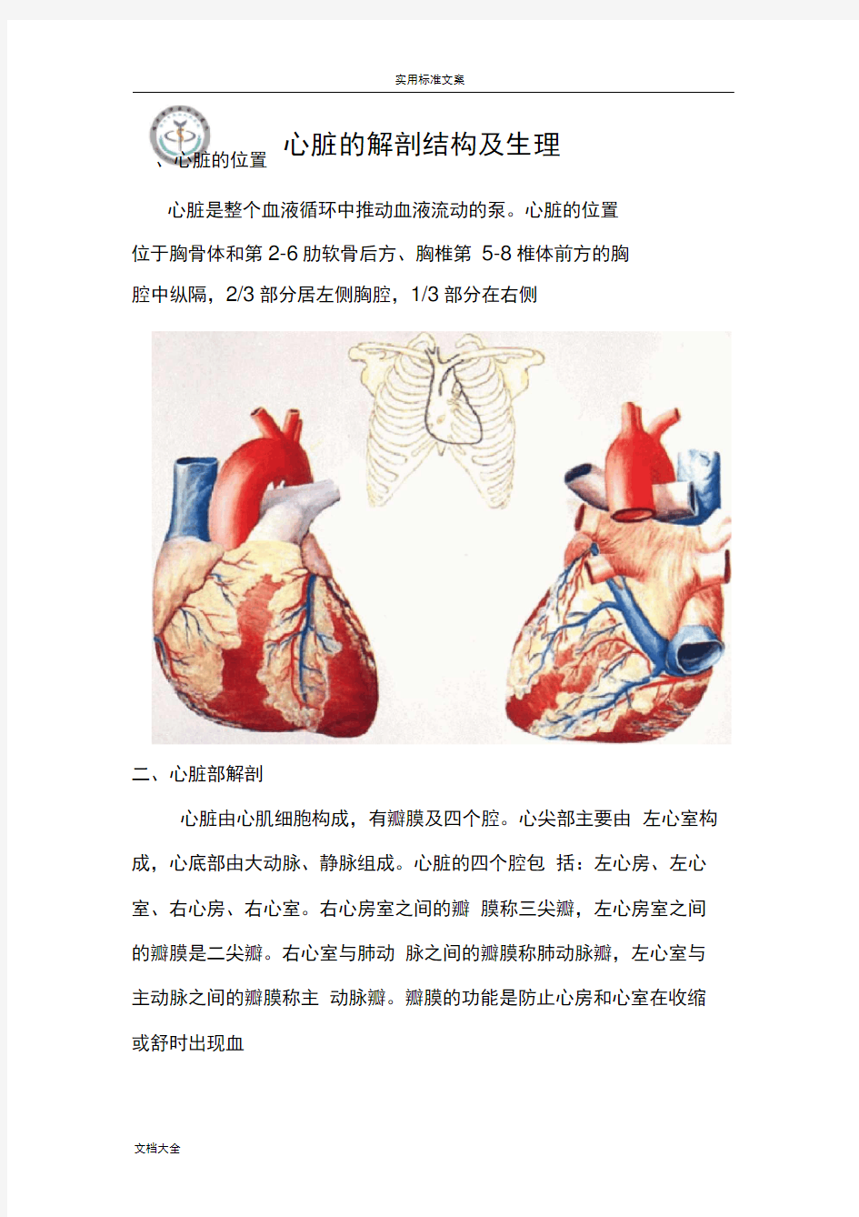 心脏地解剖结构及生理(含彩图)