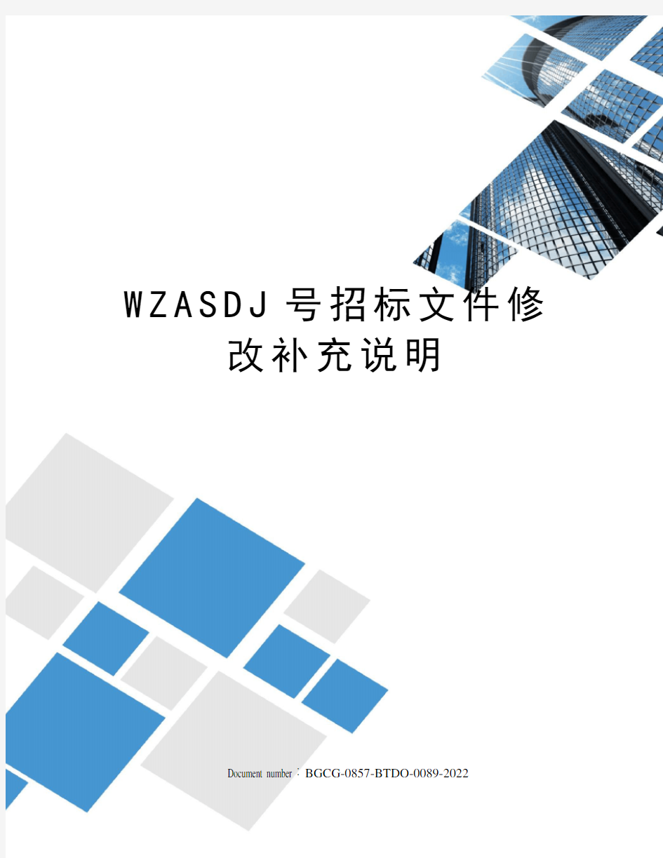 WZASDJ号招标文件修改补充说明