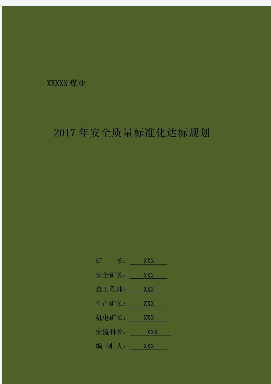 xx煤矿2017年度质量标准化达标规划资料