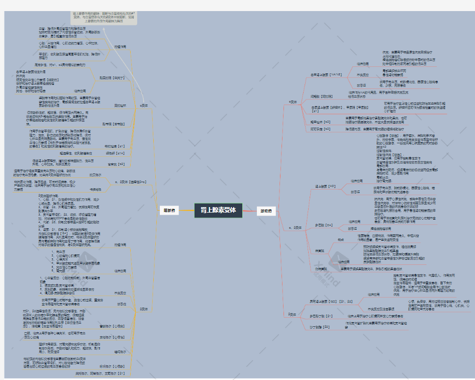 肾上腺素受体药物思维导图