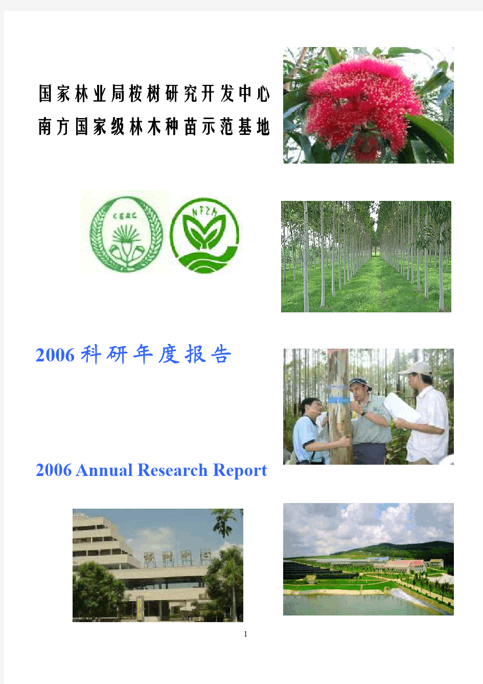 桉树中心2006年科研报告