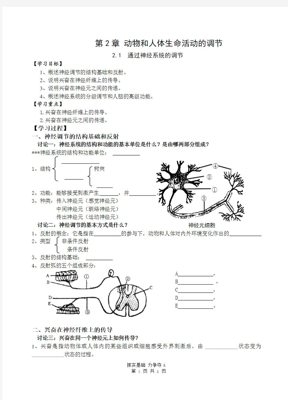 必修导学案神经调节