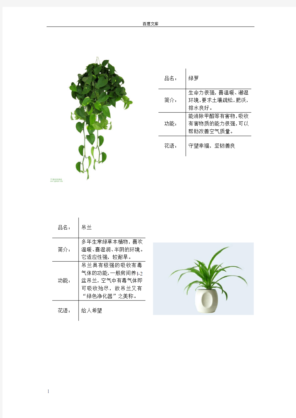 常见绿色植物图表