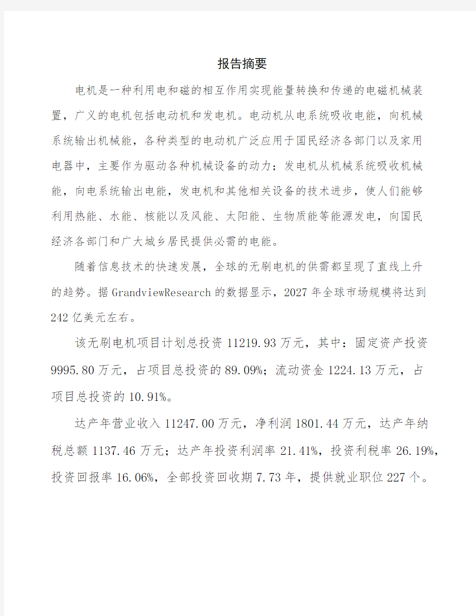 武汉电机项目商业计划书