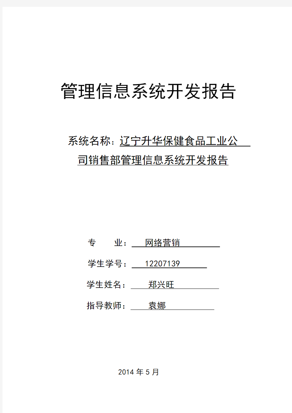 管理信息系统开发报告  模板