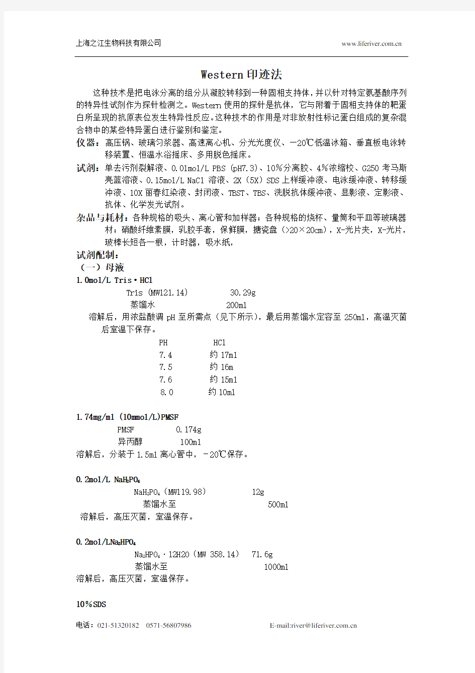 western blot超详细步骤