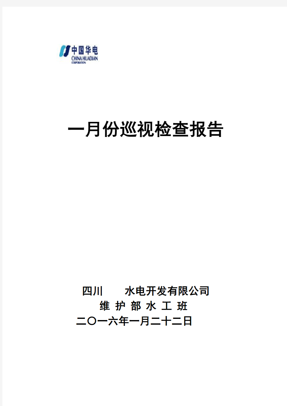 电站日常巡视检查报告 - 副本