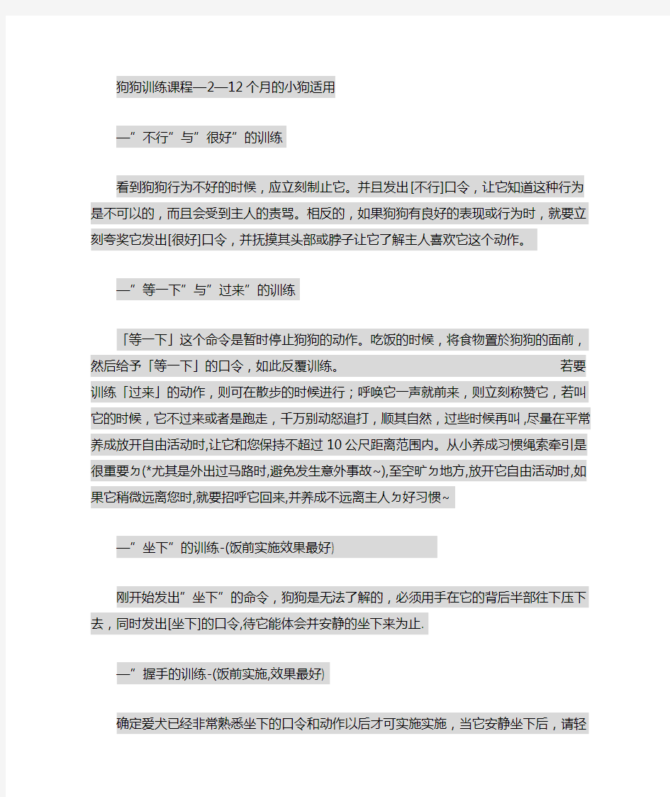 狗狗训练课程2-12个月