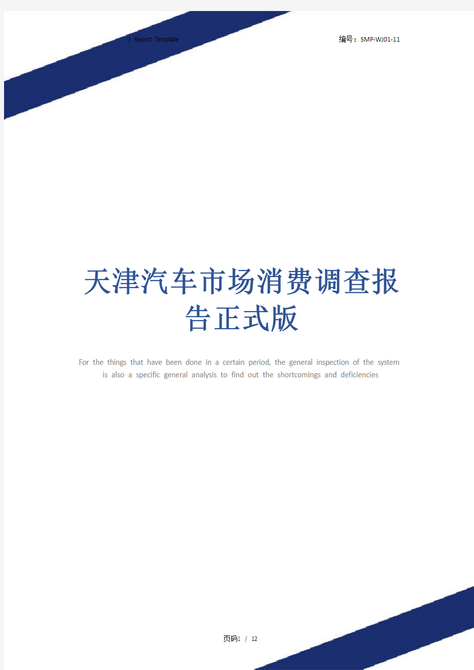 天津汽车市场消费调查报告正式版