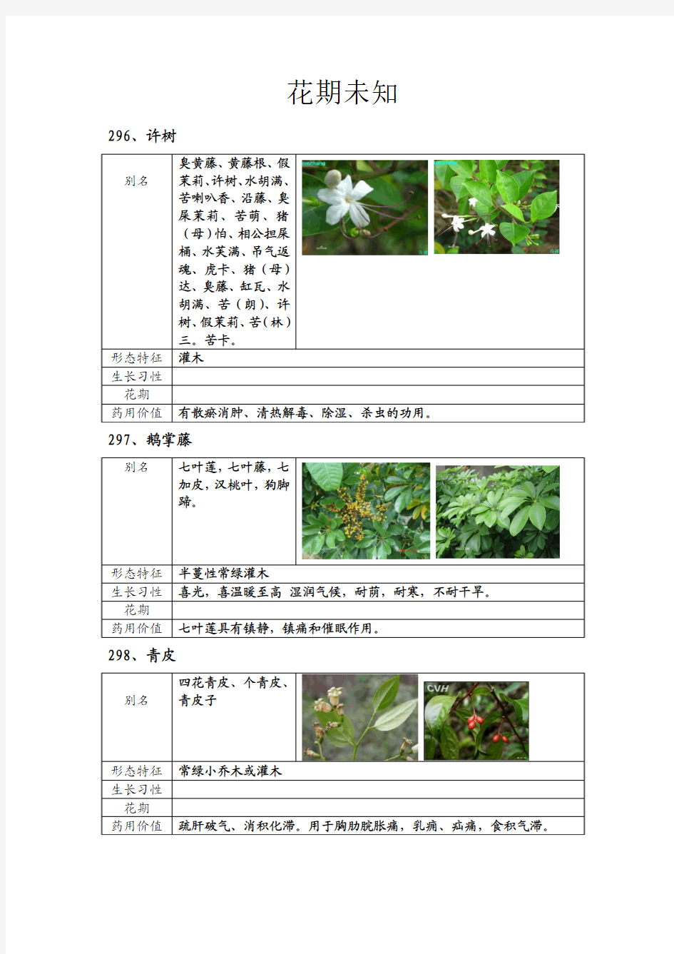 12月各月开花植物