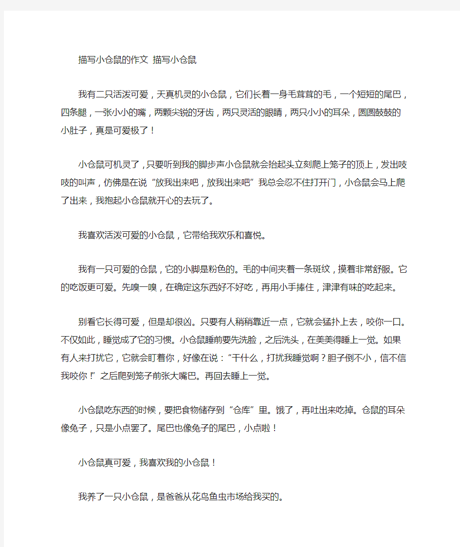 仓鼠说明文