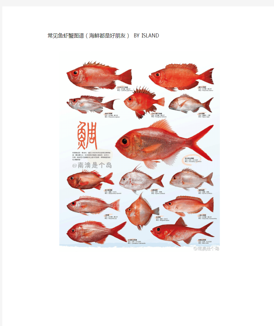 常见鱼虾蟹图谱(海鲜都是好朋友) BY ISLAND