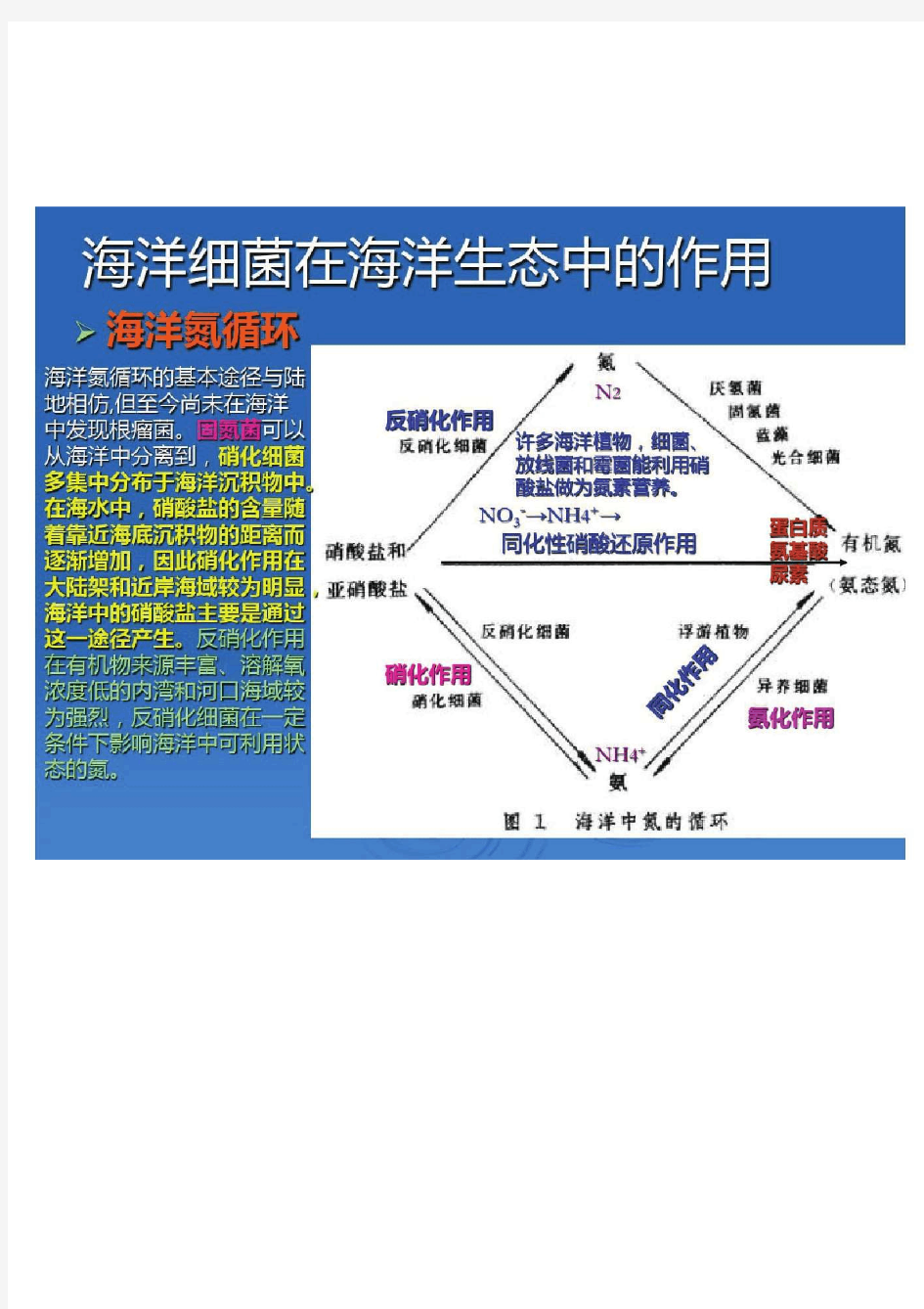 海洋生物学ppt课件