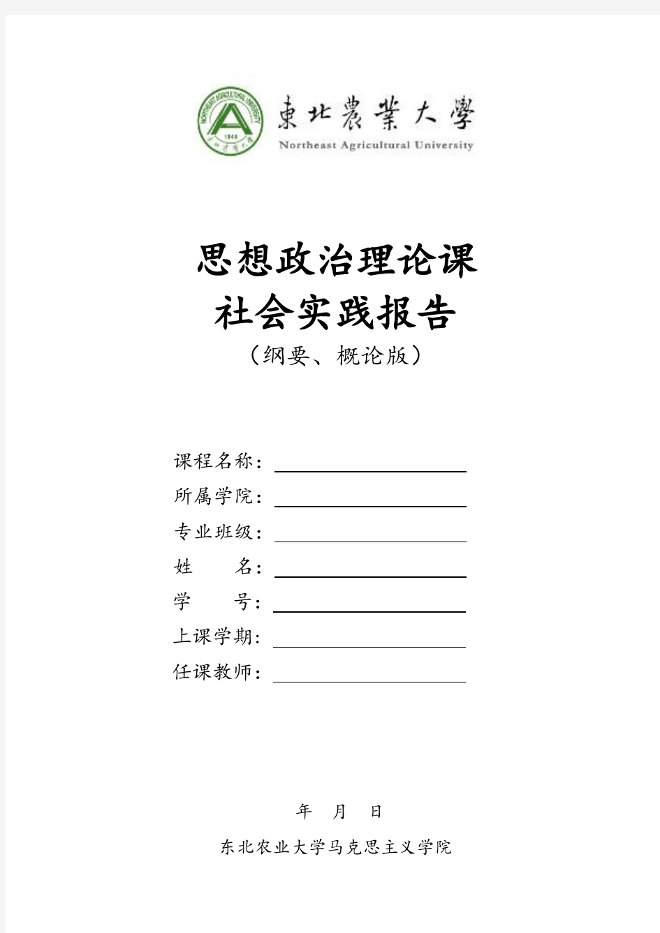 思想政治理论课 社会实践报告