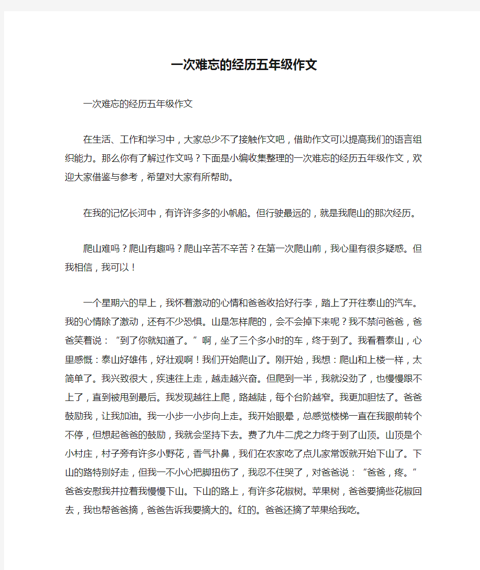 一次难忘的经历五年级作文