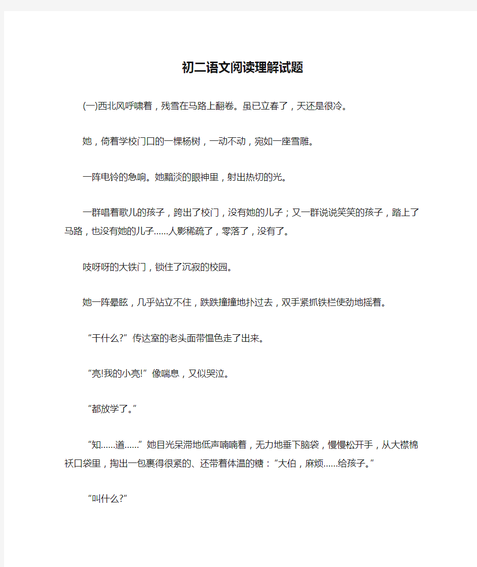 初二语文阅读理解试题练习