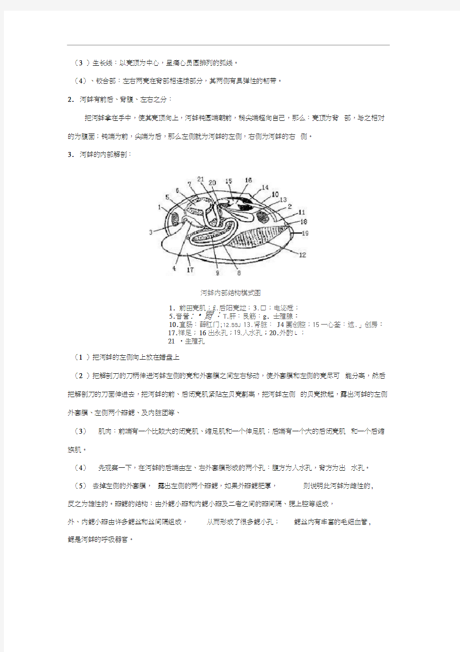 实验6河蚌解剖观察