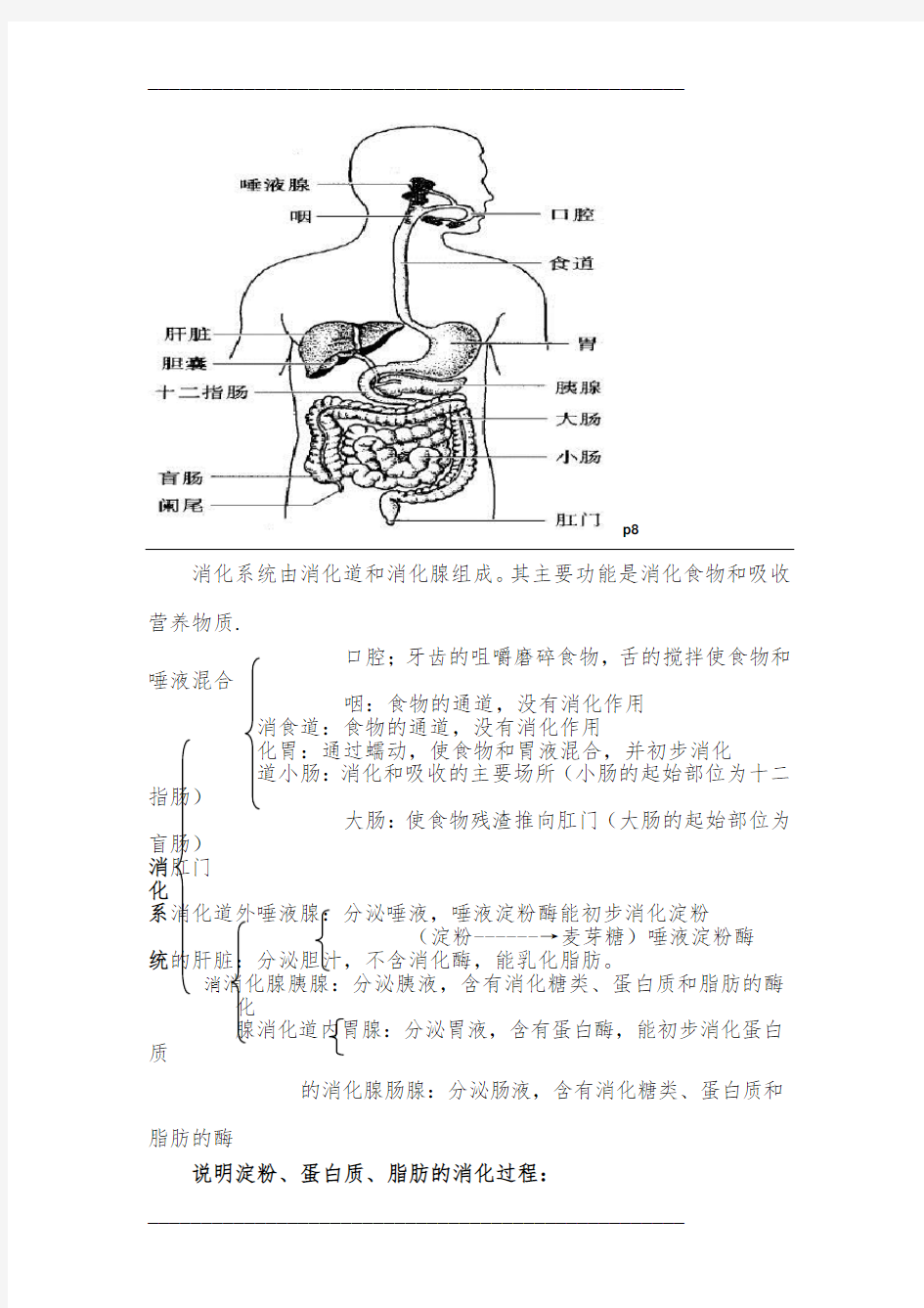 七年级下册生物图83732