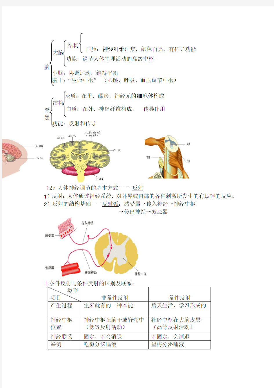 专题七：人体生命活动的调节