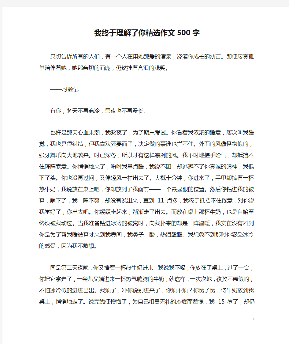 我终于理解了你精选作文500字