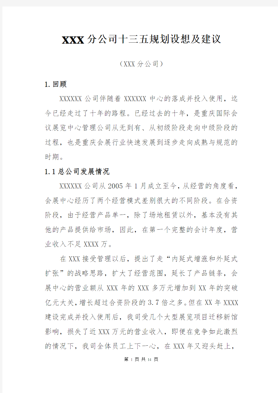 分公司发展规划设想及建议