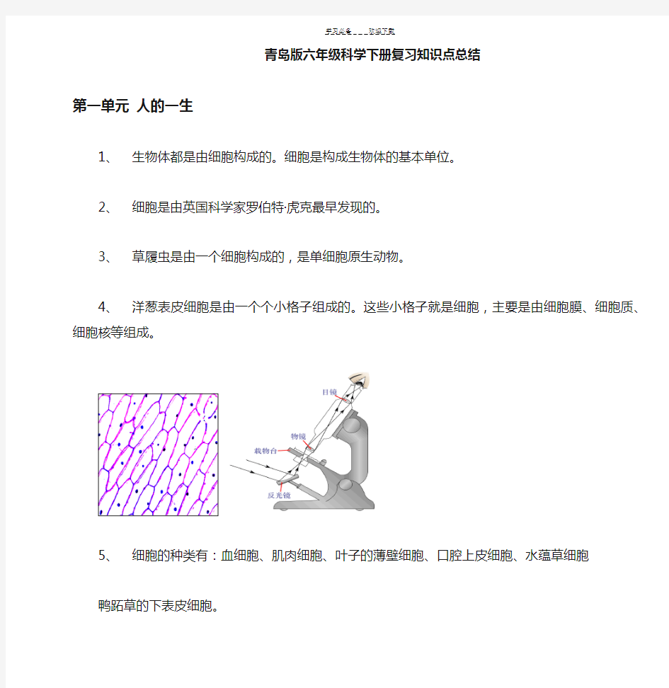 青岛版六年级下册科学全册知识点总结及试题