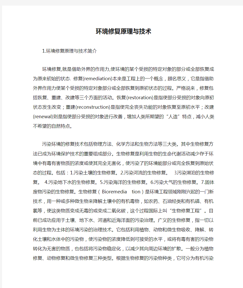 环境修复原理与技术