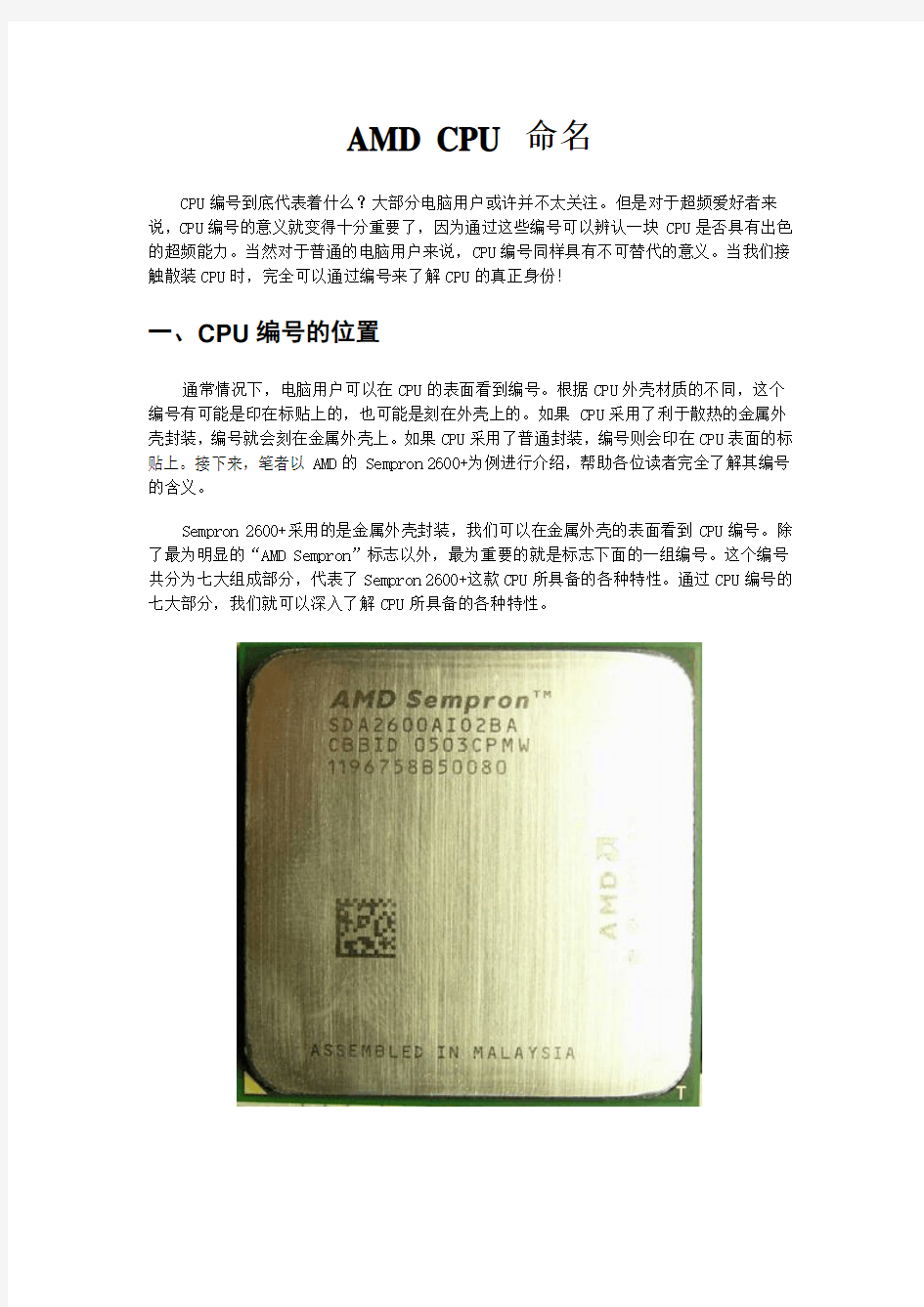 AMD CPU Number